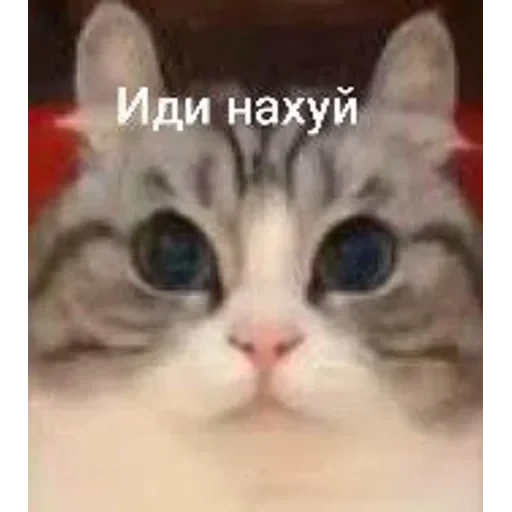Самий (ни) ожидаемый стикер — 25