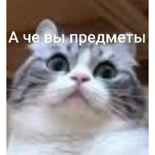 Самий (ни) ожидаемый стикер — 29