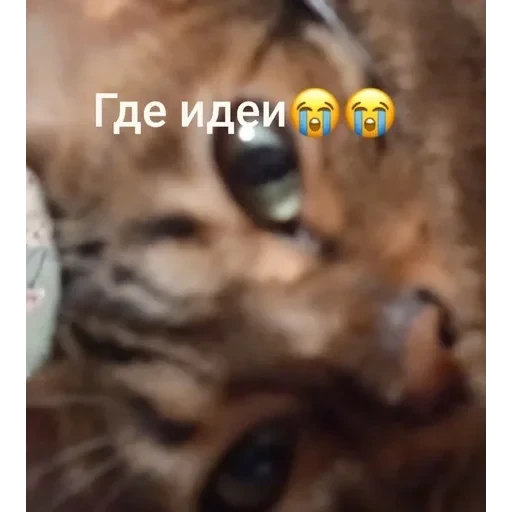 Самий (ни) ожидаемый стикер — 30