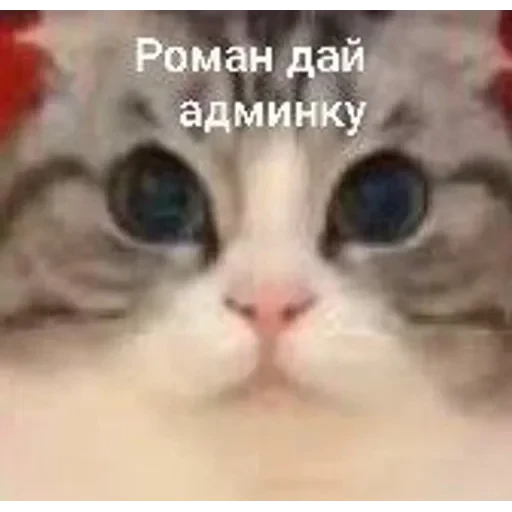 Самий (ни) ожидаемый стикер — 31
