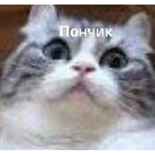 Самий (ни) ожидаемый стикер — 32