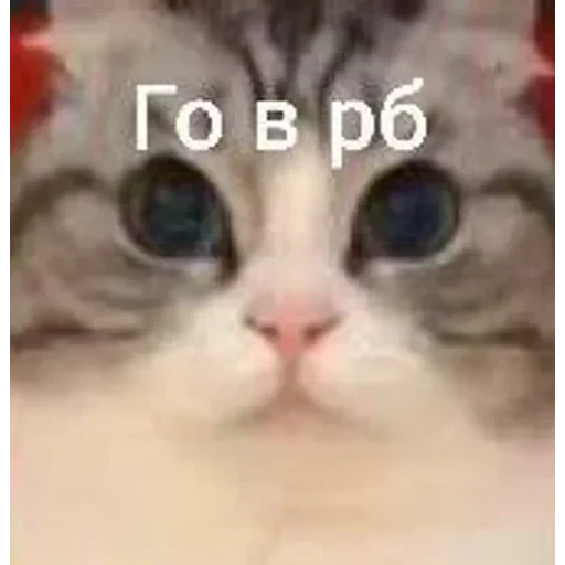 Самий (ни) ожидаемый стикер — 33
