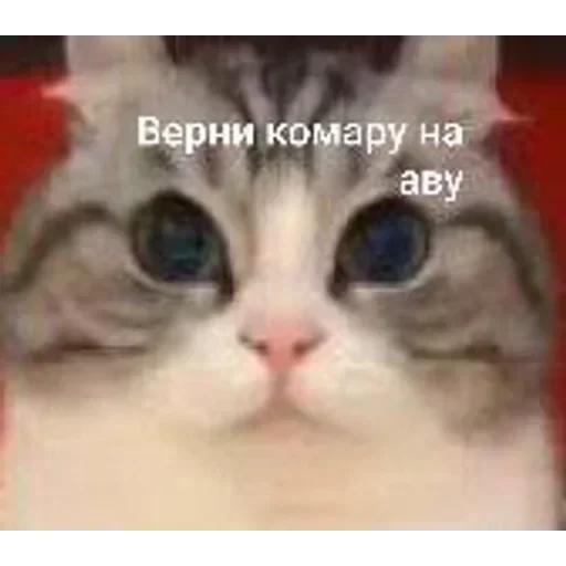 Самий (ни) ожидаемый стикер — 34