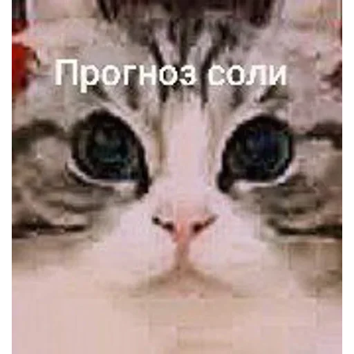 Самий (ни) ожидаемый стикер — 35