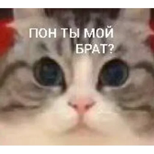 Самий (ни) ожидаемый стикер — 36