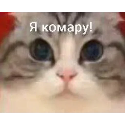 Самий (ни) ожидаемый стикер — 40