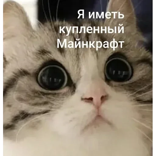 Самий (ни) ожидаемый стикер — 41