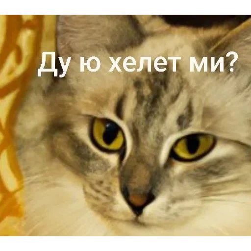 Самий (ни) ожидаемый стикер — 6