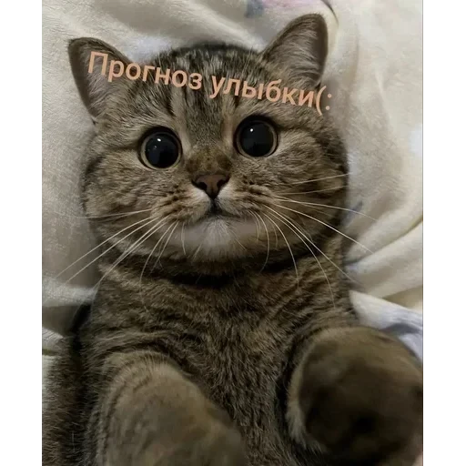 Самий (ни) ожидаемый стикер — 57