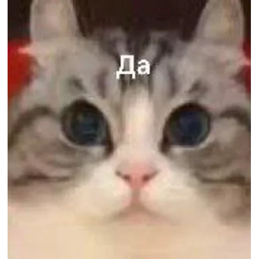 Самий (ни) ожидаемый стикер — 7