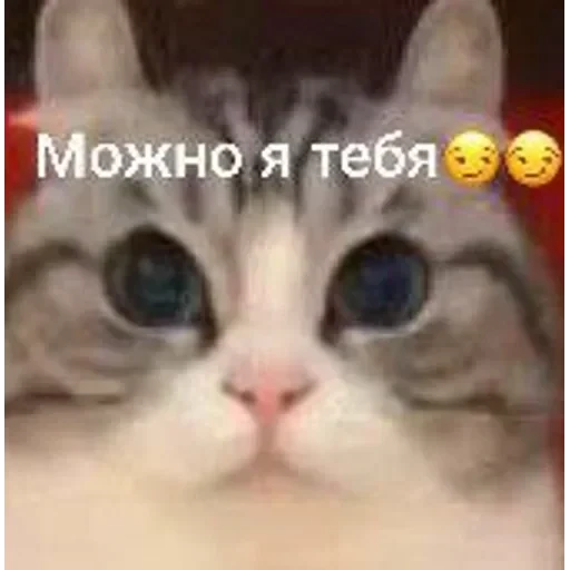Самий (ни) ожидаемый стикер — 9