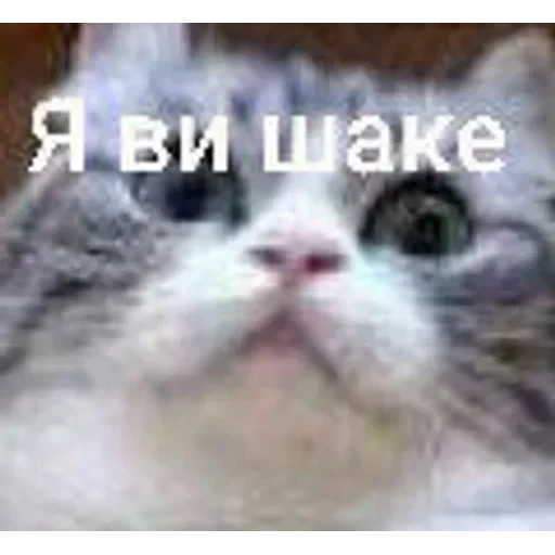 Самий (ни) ожидаемый стикер — 10