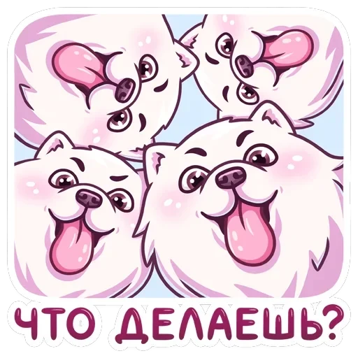 Самми — 25