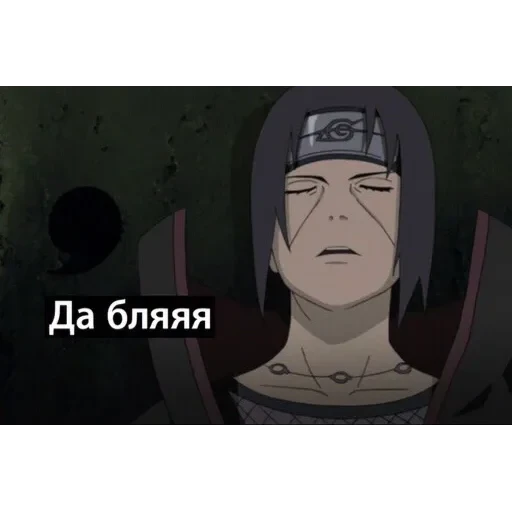 саске аморалити пак — 15