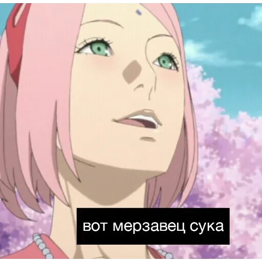 саске аморалити пак — 17