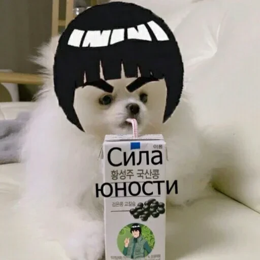 саске аморалити пак — 27