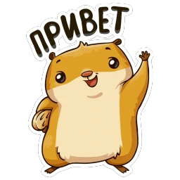 Сеня