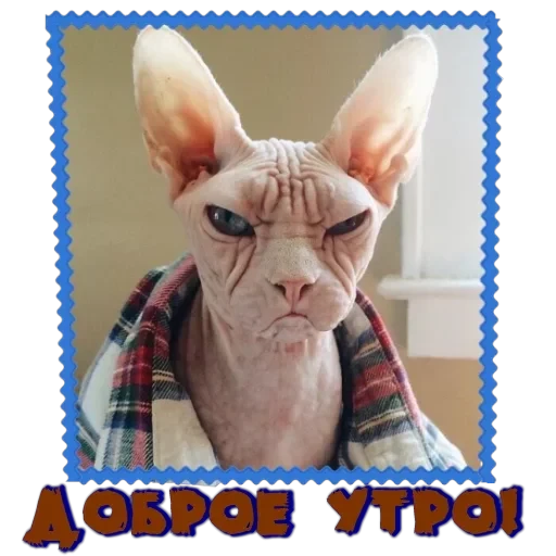 Сфинкс — 2