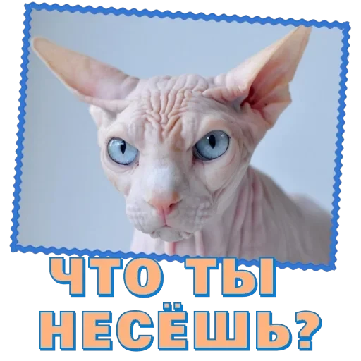 Сфинкс — 14