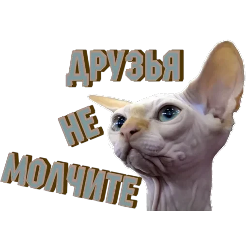 Сфинкс — 15