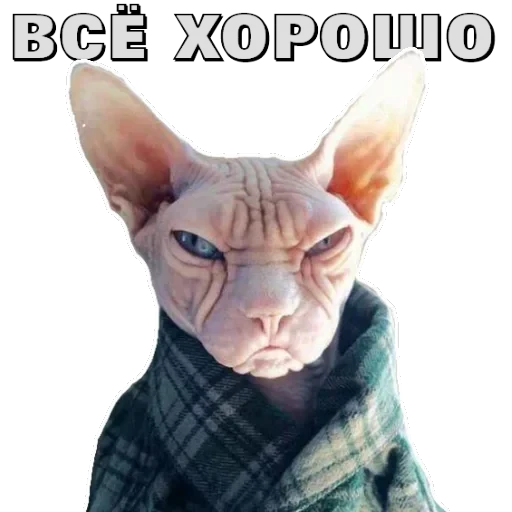 Сфинкс — 16