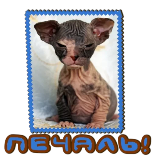 Сфинкс — 3