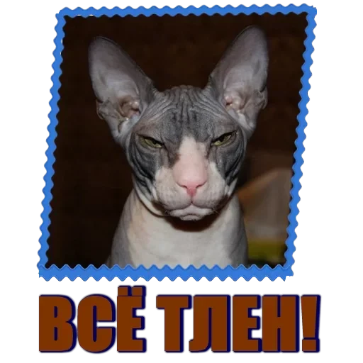 Сфинкс — 4