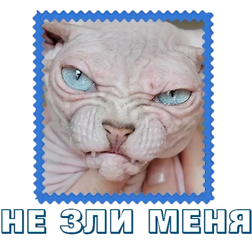 Сфинкс — 6