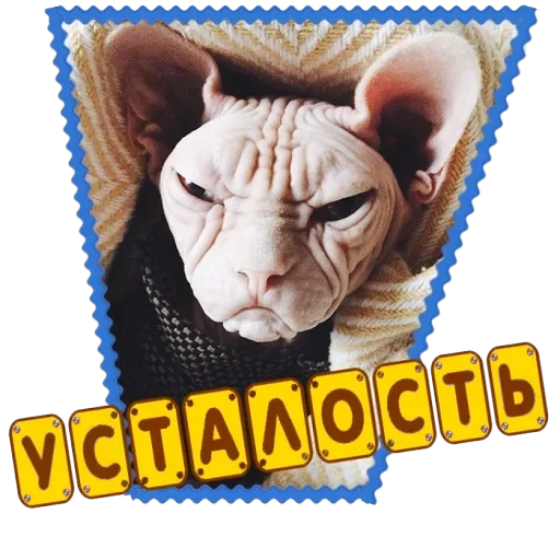 Сфинкс — 8