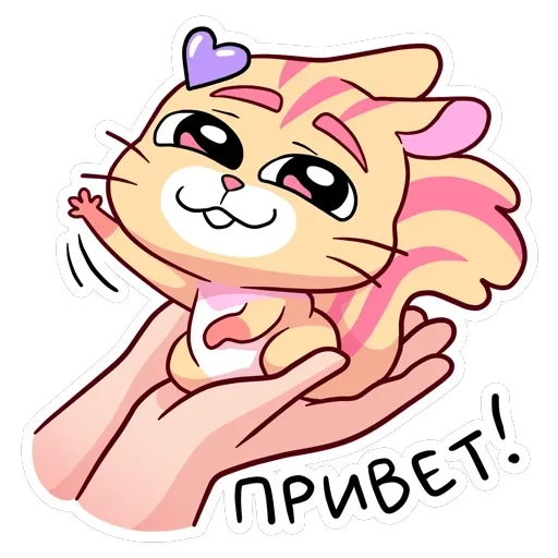 Ши — 6