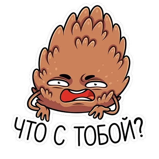 Шишка Братишка — 17