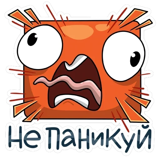 Shrimp — 12