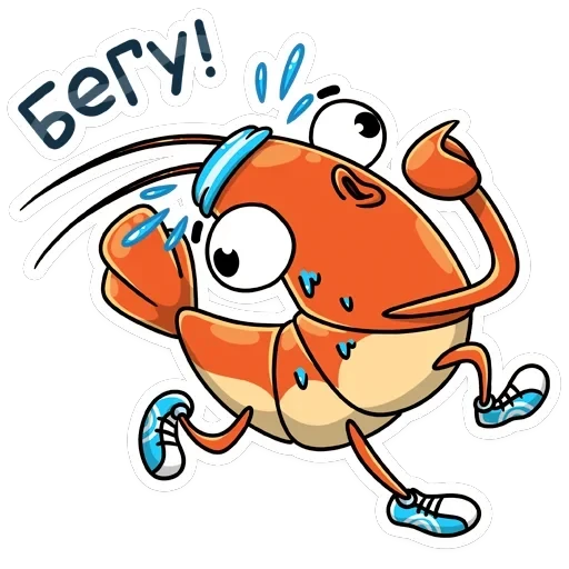 Shrimp — 13