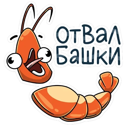 Shrimp — 17