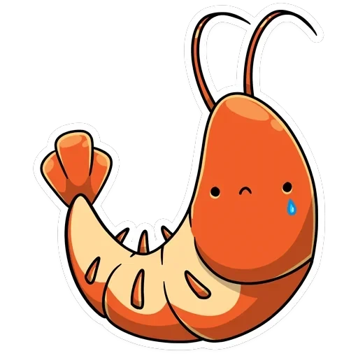 Shrimp — 20