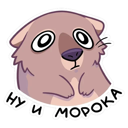 Шуга — 15