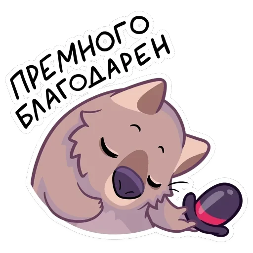 Шуга — 48