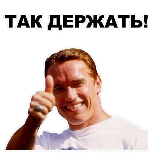 Шварценеггер — 11