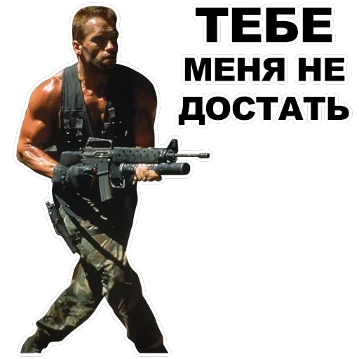 Шварценеггер — 14