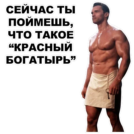Шварценеггер — 15