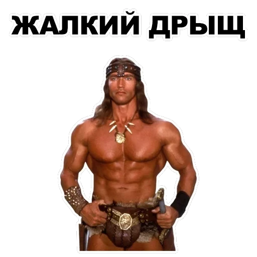 Шварценеггер — 21