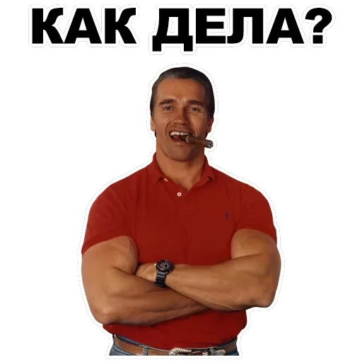 Шварценеггер — 23