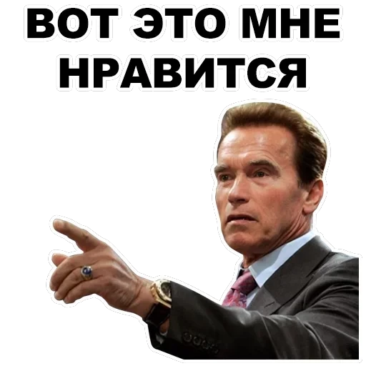 Шварценеггер — 25