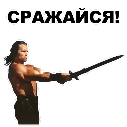 Шварценеггер — 27