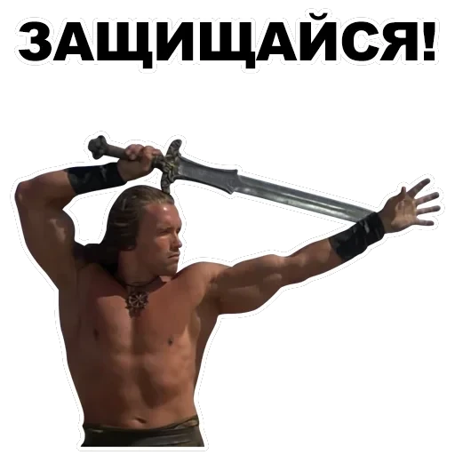 Шварценеггер — 33