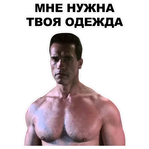 Шварценеггер — 42