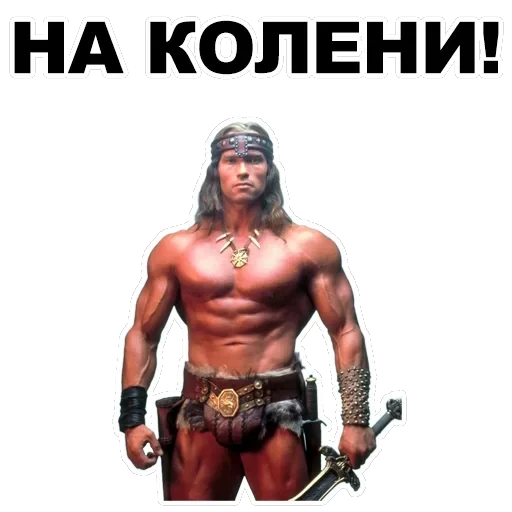 Шварценеггер — 55