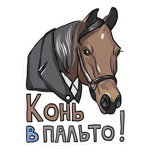 сиськи — 7