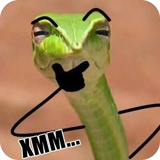 Snake — 2