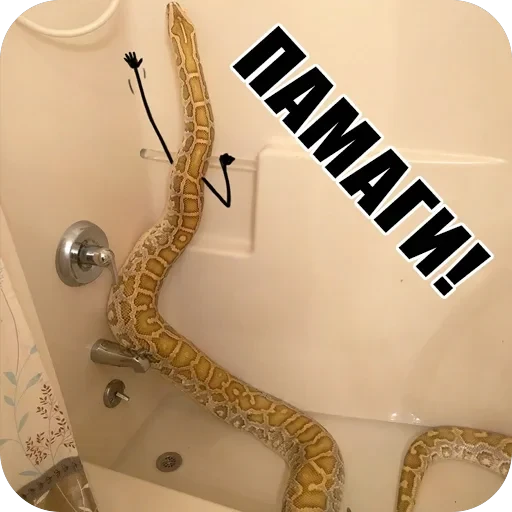 Snake — 18